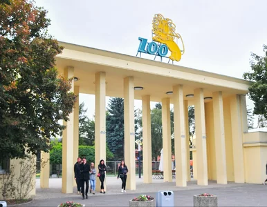 Miniatura: To najczęściej zadawane pytanie we...