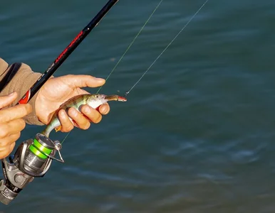 Miniatura: Nowe zasady dla 1,5 miliona wędkarzy....