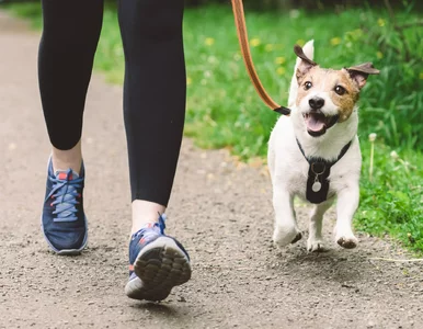 Miniatura: Ten rozwód może mieć konsekwencje dla...