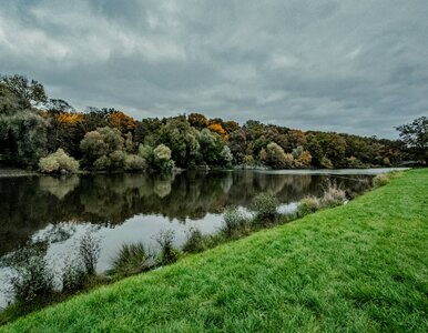 Miniatura: Oto „Szczeciński Central Park”. Teraz chcą...