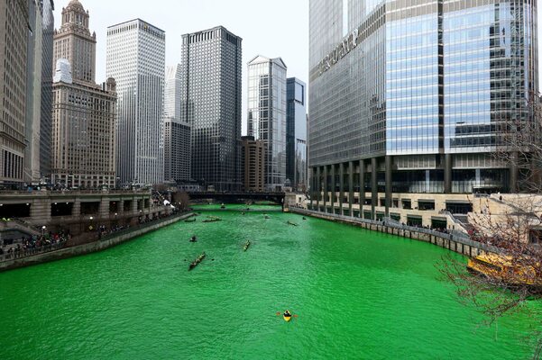Miniatura: Zielona Chicago River. Tak świętowany jest...