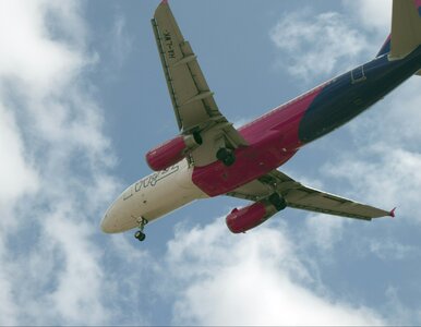 Miniatura: Loty Wizz Air za grosze. Tanie bilety z...