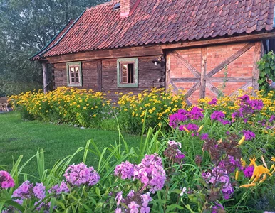 Miniatura: Wysiej je teraz, a wiosną ogród rozkwitnie...