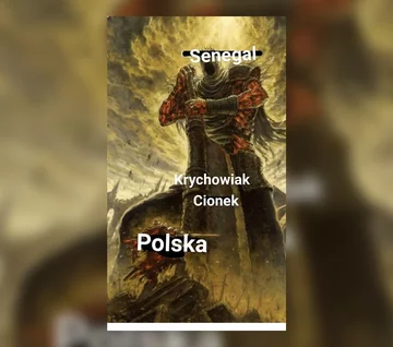 Memy po meczu Polska-Senegal 