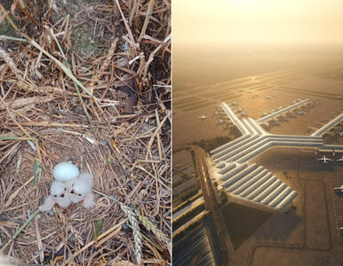 Miniatura: 30 młodych przyszło na świat. Co mają...