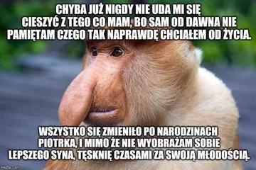 Smutny mem z nosaczem 
