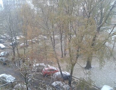 Miniatura: Śnieg i mróz - do Polski zawitała już zima
