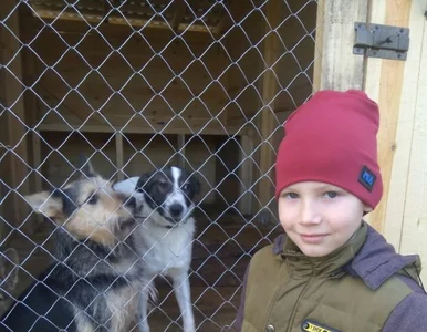 Miniatura: 9-latek maluje zwierzęta. Obrazy wymienia...