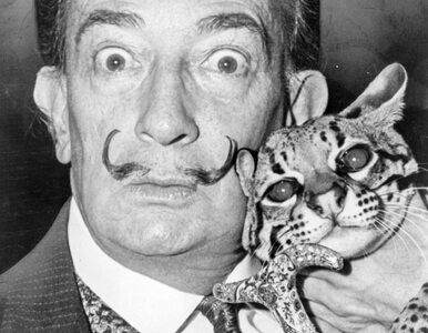 Miniatura: Kto nie wierzy w impotencję Salvadora Dalí
