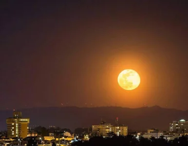 Miniatura: Księżyc Robaków już dziś rozjaśni niebo....