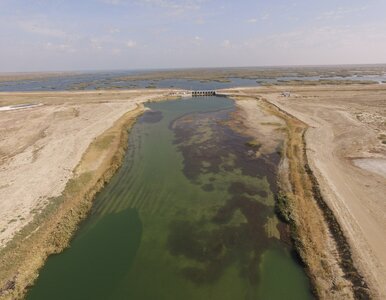 Miniatura: To jezioro straciło 90 proc. powierzchni....