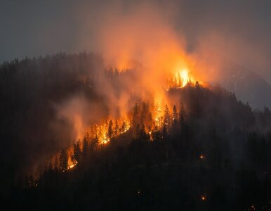 Miniatura: Pożar niczym wybuch wulkanu. Tak nie było...