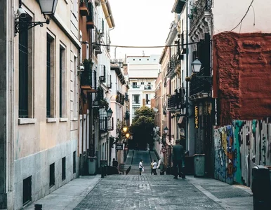 Miniatura: Quiz z wiedzy o świecie. Prawda czy fałsz?