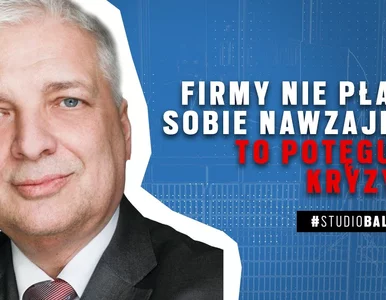 Miniatura: Gwiazdowski: Firmy nie płacą sobie...