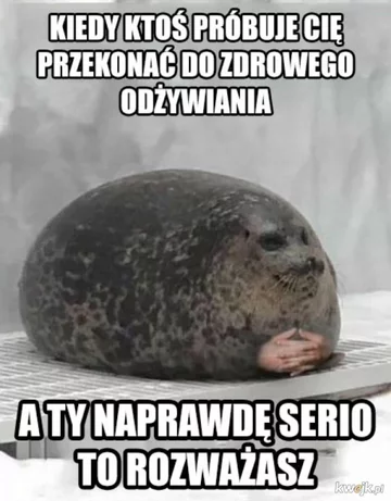 Mem na temat odchudzania 