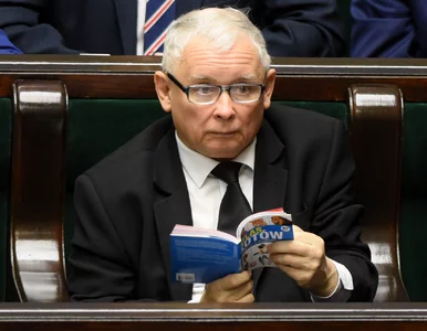 Miniatura: Słynny „Atlas Kotów” trafił na aukcję....