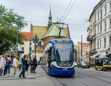 Miniatura: Duże wyróżnienie dla polskiego miasta....
