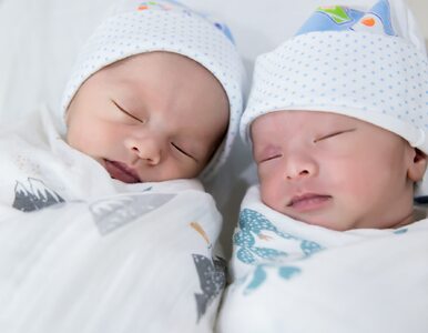 Miniatura: Jak zwiększyć szansę na ciążę bliźniaczą?