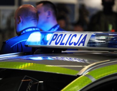 Miniatura: Obława za nożownikiem z Tarnowa. „Policja...