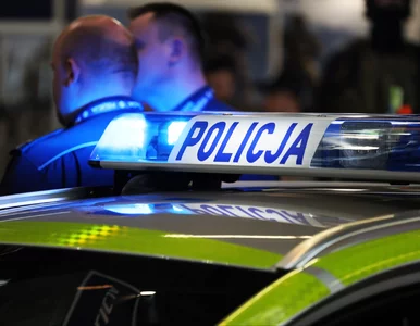 Miniatura: Obława za nożownikiem z Tarnowa. „Policja...
