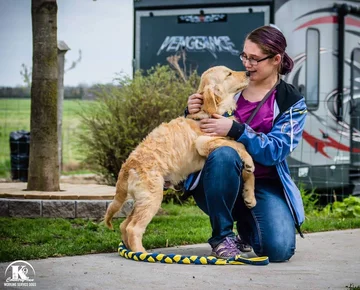 Podopieczni Country Inn Working Service Dogs 