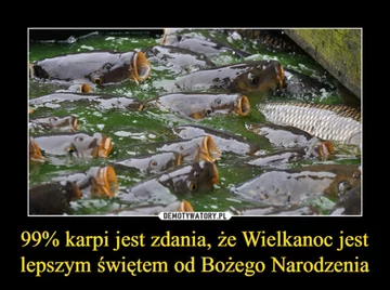 Świąteczne memy 
