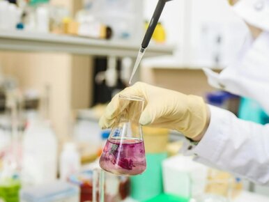 Miniatura: Szansa na przełom w kardiologii. Polskie...