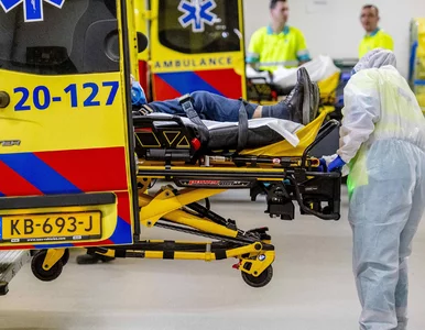 Miniatura: Holandia. 637 nowych przypadków...