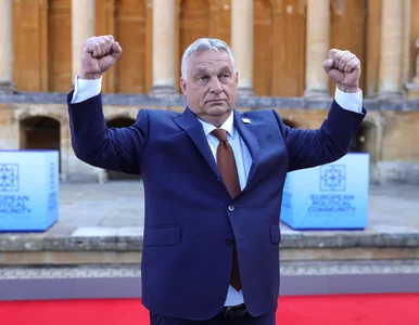 Miniatura: Notują najlepszy wynik w historii swojej...