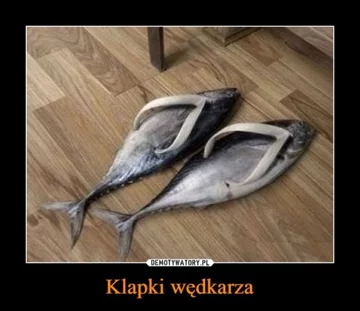 Mem o wędkarstwie Mem o wędkarstwie i rybach