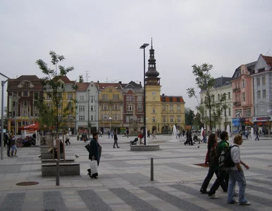 Miniatura: Nowe połączenie PKP z Polski coraz bliżej....