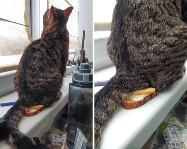 Miniatura: Narzekasz na zły dzień podczas...