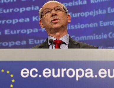 Miniatura: Komisja Europejska: ACTA nie ograniczy...