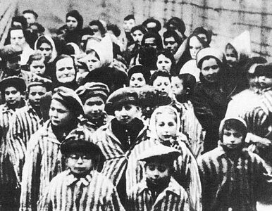 Miniatura: Kto wyzwolił Auschwitz?