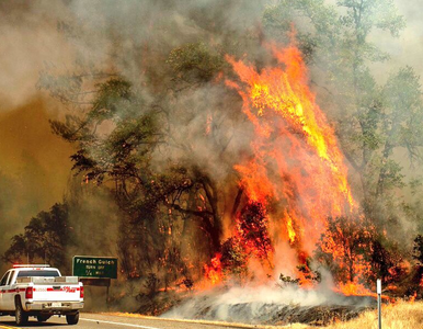 Miniatura: Ogromne pożary lasów w Kalifornii. Co...