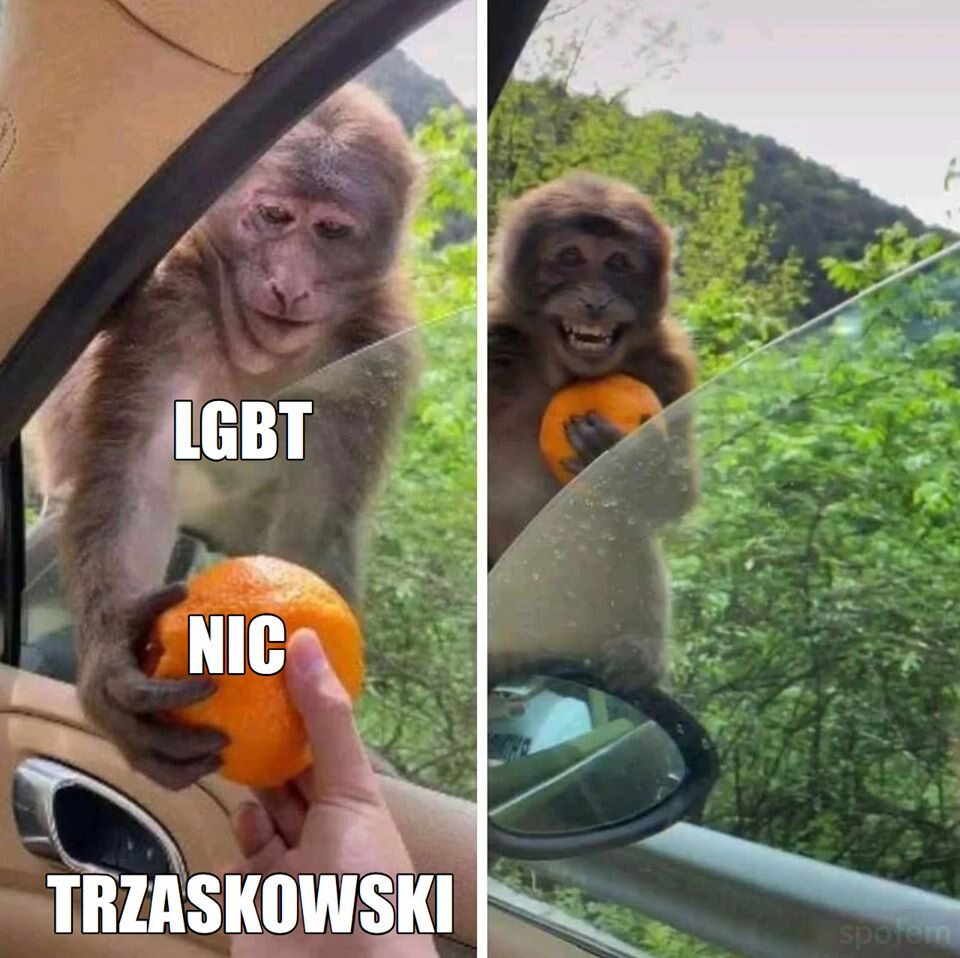 Mem przed druga turą wyborów 