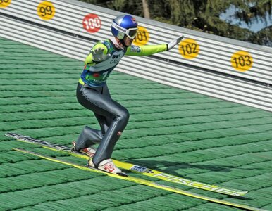 Miniatura: Skoki narciarskie na Stadionie Narodowym?