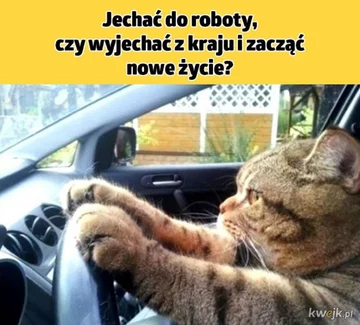 Praca, praca i jeszcze raz praca. Internauci tworzą MEMY 