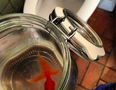 Miniatura: Piłkarka z Islandii oskarżona o...