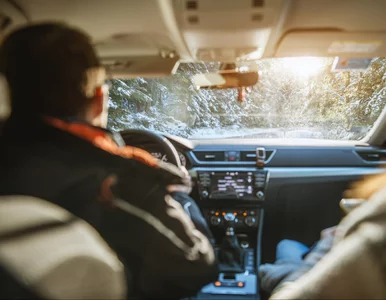 Miniatura: Leki a prowadzenie samochodu. Polscy...