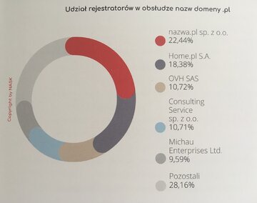 Udział rejstrator&oacute;w wg liczby nazw w&nbsp;domenie.p