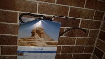 Wąż złapany przez pracowników firmy Brisbane Snake Catchers 