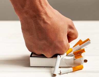 Miniatura: Zakaz mówienia na temat tytoniu? WHO chce...