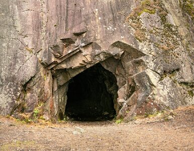Miniatura: Ta jaskinia ma ukrytą kamerę. To pułapka...