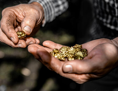 Miniatura: „Złoty Pociąg” rozpalił twoją wyobraźnię?...