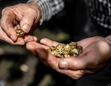 Miniatura: „Złoty Pociąg” rozpalił twoją wyobraźnię?...