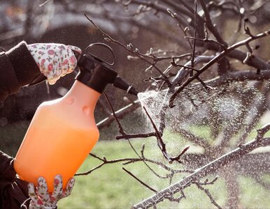 Miniatura: Ten termin decyduje o plonach. Spóźnisz...