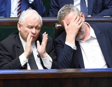 Miniatura: Ardanowski: Zapadł wyrok na europejskie...