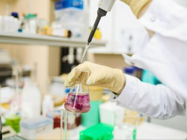 Miniatura: Prawie 600 badań klinicznych rocznie....
