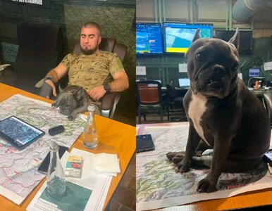 Miniatura: Skandal w Ukrainie. Pułkownik ujawnił...